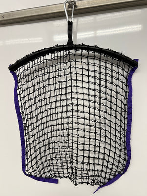 Regular Net