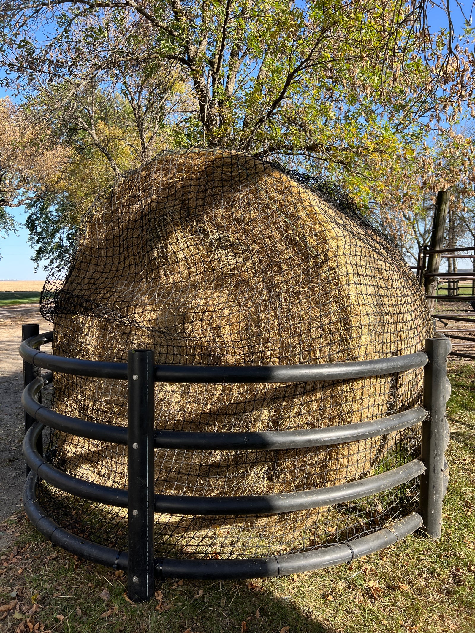Century Poly Feeder Net