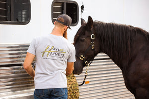 Haylo Haynet Clothing and apparel